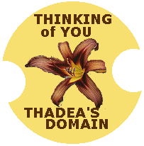 the brown daylily thinkin of you card