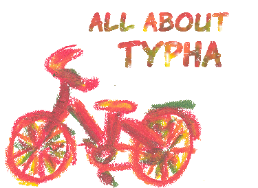Typha's Logo with a Bike